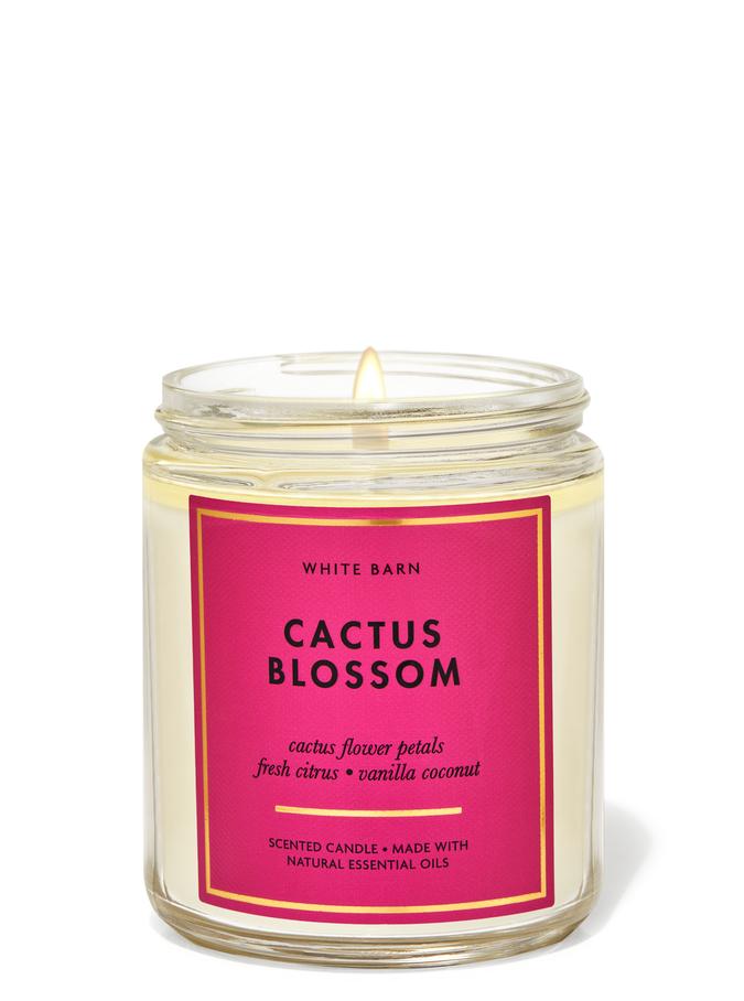 Cactus Blossom