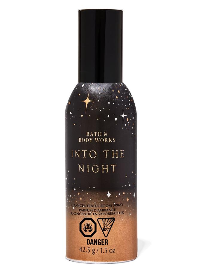 Into The Night Into The Night