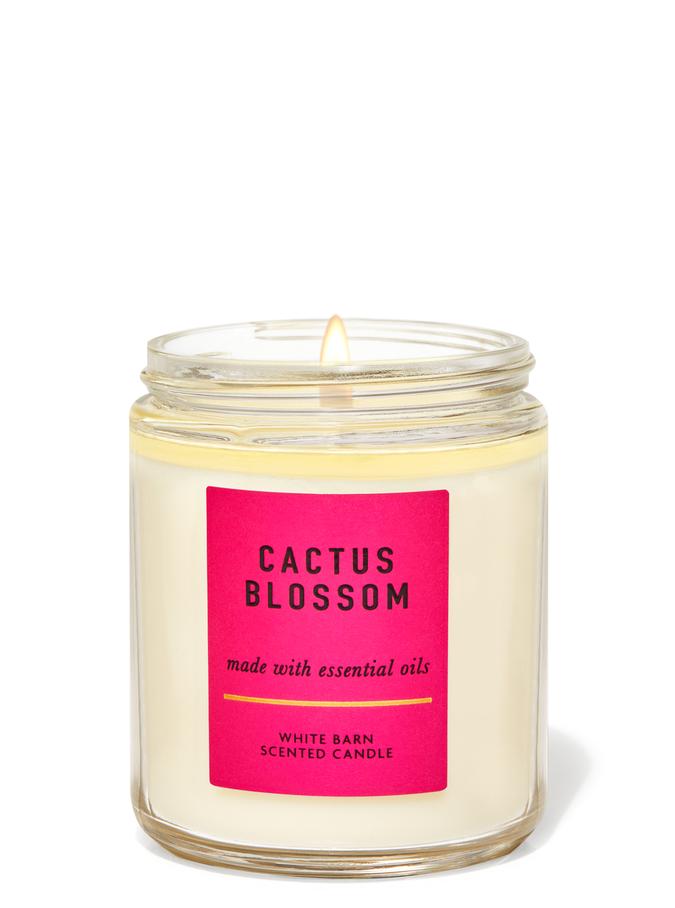Cactus Blossom image number 0
