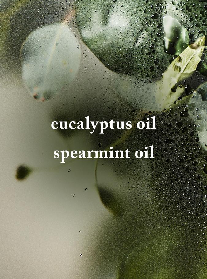 Eucalyptus Spearmint image number 1