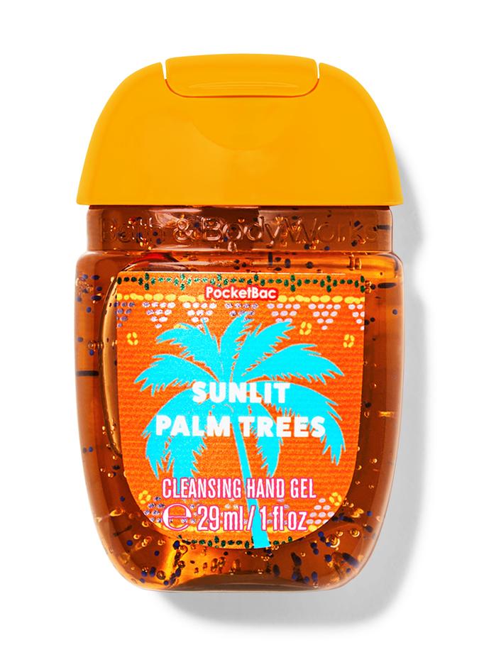 Sunlit Palm Trees Sunlit Palm Trees