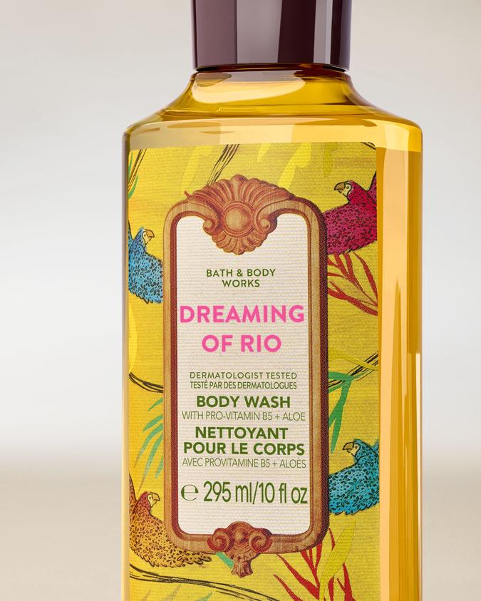Dreaming Of Rio