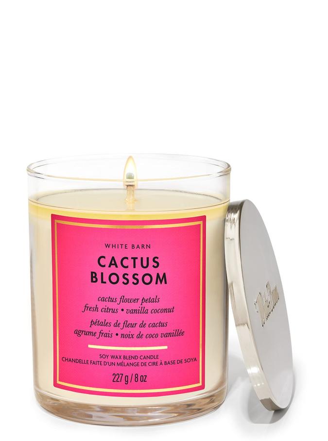 Cactus Blossom Cactus Blossom