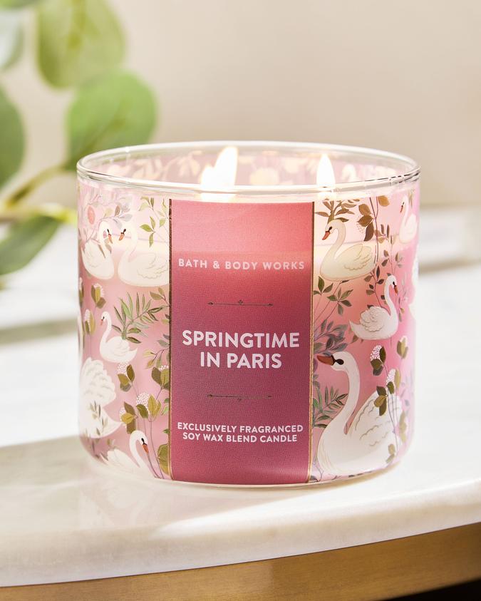 Springtime In Paris image number 2