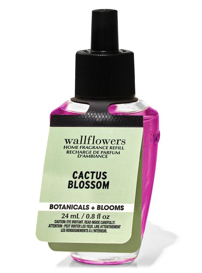 Cactus Blossom Cactus Blossom