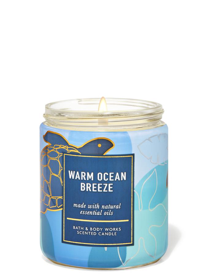 Warm Ocean Breeze image number 1