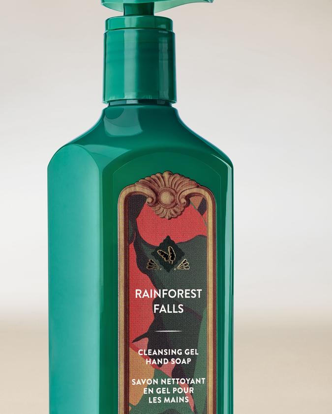 Rainforest Falls