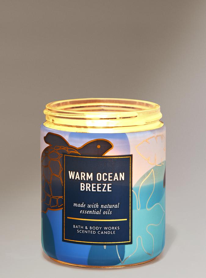 Warm Ocean Breeze image number 0