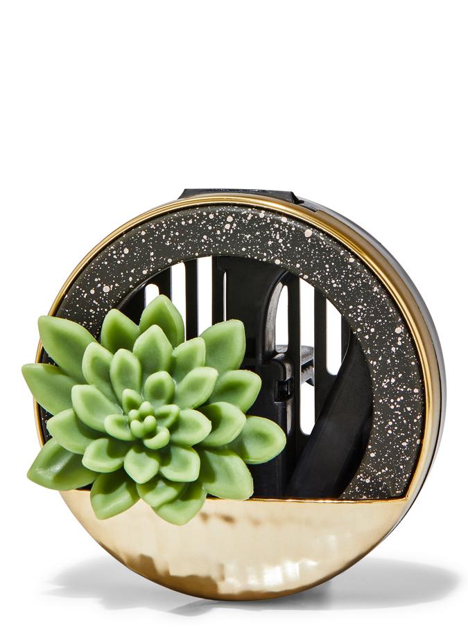 Succulent Planter Succulent Planter