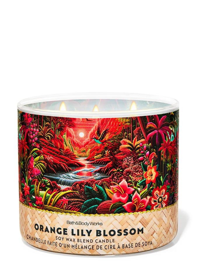 Orange Lily Blossom Orange Lily Blossom