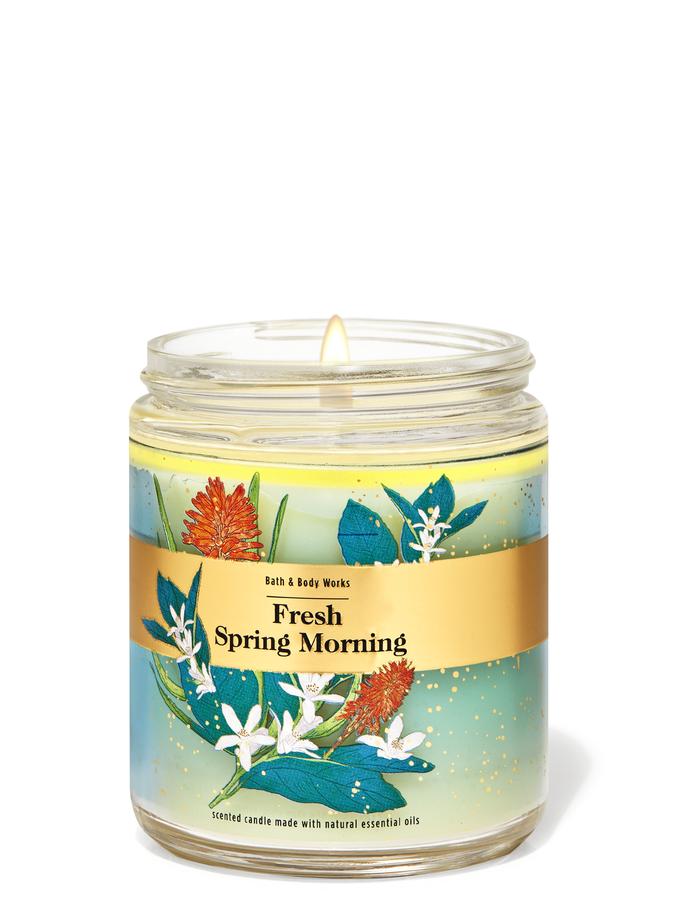 Fresh Spring Morning Fresh Spring Morning image number 0