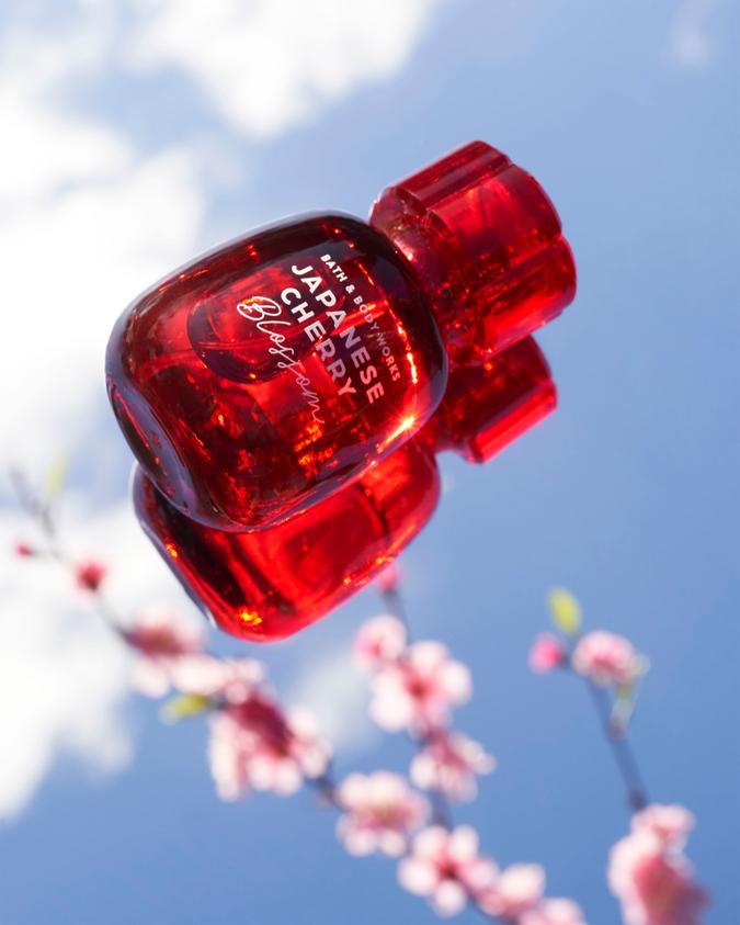 Japanese Cherry Blossom Japanese Cherry Blossom