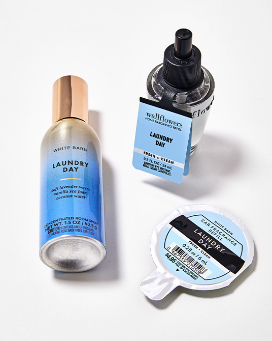 Air Fresheners- Buy 1, Get 1