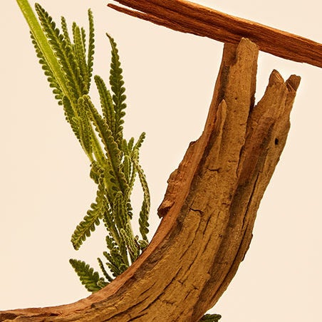 Item 7
