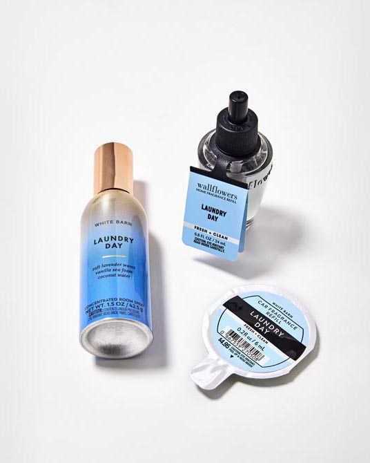 Wallflowers & Air Fresheners